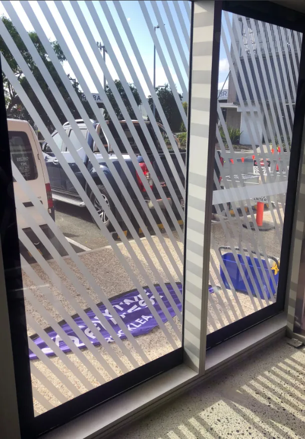 Window screens taken out and lined up for washing